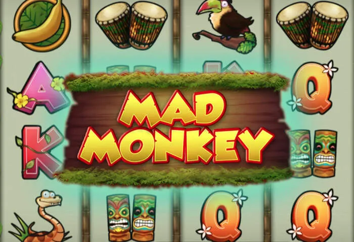 Scarica l'App Casinò Mobile per bonus e le migliori slot ovunque