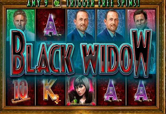 Scarica l'App Casinò Mobile per bonus e le migliori slot ovunque